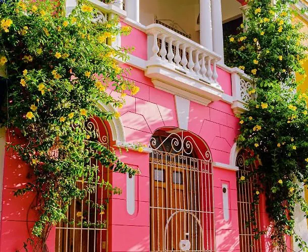 Hotel Casa Rosa by DOT Boutique